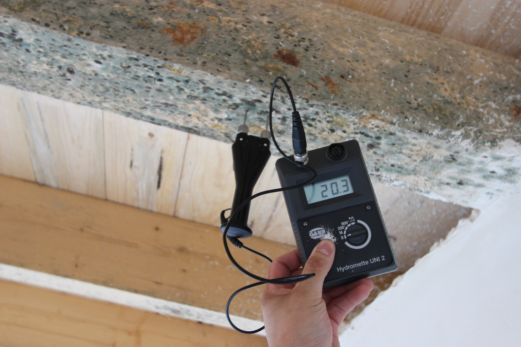 Ermittlung des Holzfeuchtegehalts